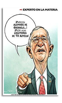 Experto en la materia